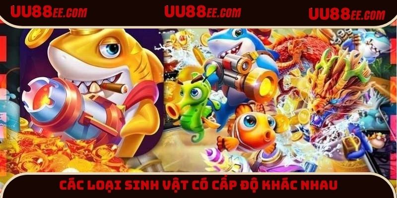 Sinh vật được chia thành 3 cấp bậc