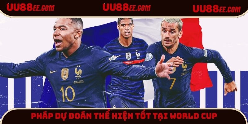 Pháp hứa hẹn màn thể hiện tốt tại World Cup