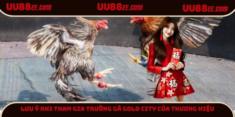 Lưu ý khi tham gia trường gà Gold City của thương hiệu