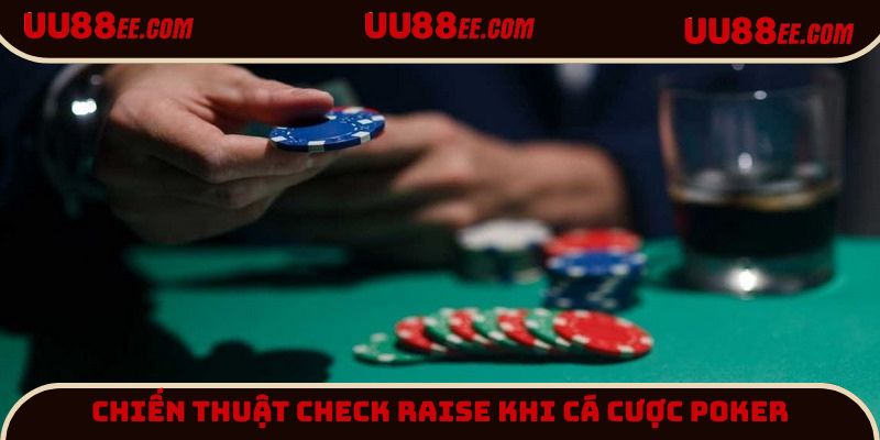 Chiến thuật check-raise khi chơi Poker