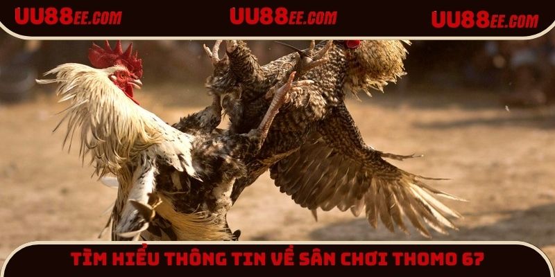 Tìm hiểu thông tin về sân chơi Thomo 67